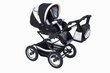 Vežimėlis Baby Fashion Fanari 2in1, black/white kaina ir informacija | Vežimėliai | pigu.lt