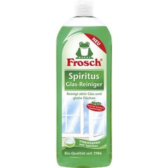 Frosch Spiritus langų valiklis, 750 ml kaina ir informacija | Valikliai | pigu.lt