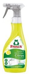 Frosch valymo priemonė, 500 ml kaina ir informacija | Valikliai | pigu.lt