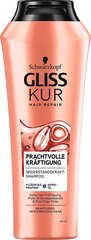 Шампунь для волос Gliss Kur Прекрасная укрепляющая сила 250 мл цена и информация | Шампуни | pigu.lt