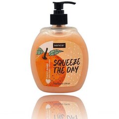 Skystas muilas Sence Mandarin Citrus, 500 ml kaina ir informacija | Sence Kvepalai, kosmetika | pigu.lt