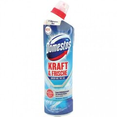 Domestos WC gelis, 750 ml kaina ir informacija | Domestos Virtuvės, buities, apyvokos prekės | pigu.lt