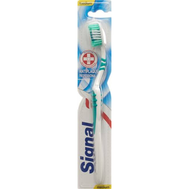 Dantų šepetėlis Signal Toothbrush, vidutinio kietumo, 1 vnt. kaina ir informacija | Dantų šepetėliai, pastos | pigu.lt