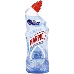 Harpic tualeto valiklis, 750 ml kaina ir informacija | HARPIC Virtuvės, buities, apyvokos prekės | pigu.lt