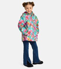 Huppa куртка для девочек 17840004*44099, зелёная цена и информация | Куртки, пальто для девочек | pigu.lt