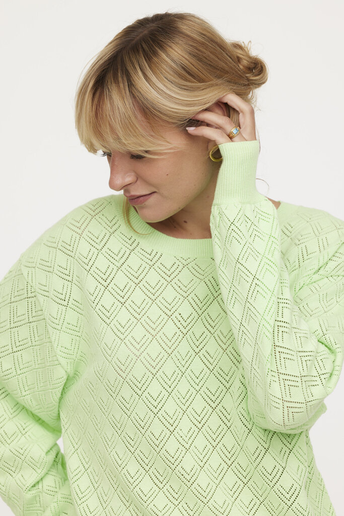Megztinis moterims Lee Cooper S452, žalias kaina ir informacija | Megztiniai moterims | pigu.lt