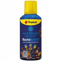 Bakterijos akvariumams Tropical Marine Power Bacto-Active, 250ml kaina ir informacija | Akvariumai ir jų įranga | pigu.lt