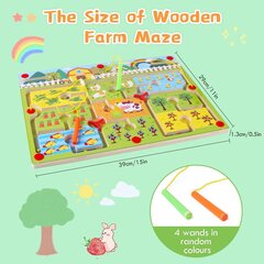 Interaktyvus žaidimas Montessori magnetinis labirintas Homcent kaina ir informacija | Lavinamieji žaislai | pigu.lt
