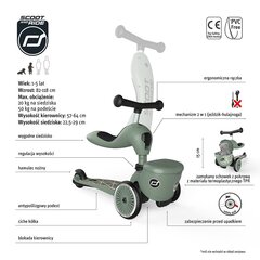 Paspirtukas Scoot & Ride Highwaykick 1 Lifistyle, žalias kaina ir informacija | Paspirtukai | pigu.lt