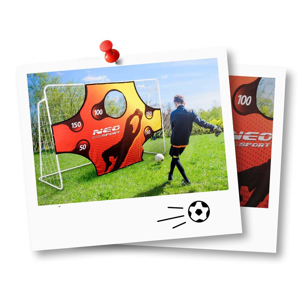 Futbolo vartai Neo-Sport, 300 x 200 x 120 cm цена и информация | Futbolo vartai ir tinklai | pigu.lt