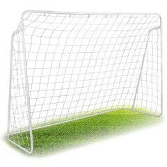 Futbolo vartai Neo-Sport, 300 x 200 x 120 cm цена и информация | Футбольные ворота и сетки | pigu.lt