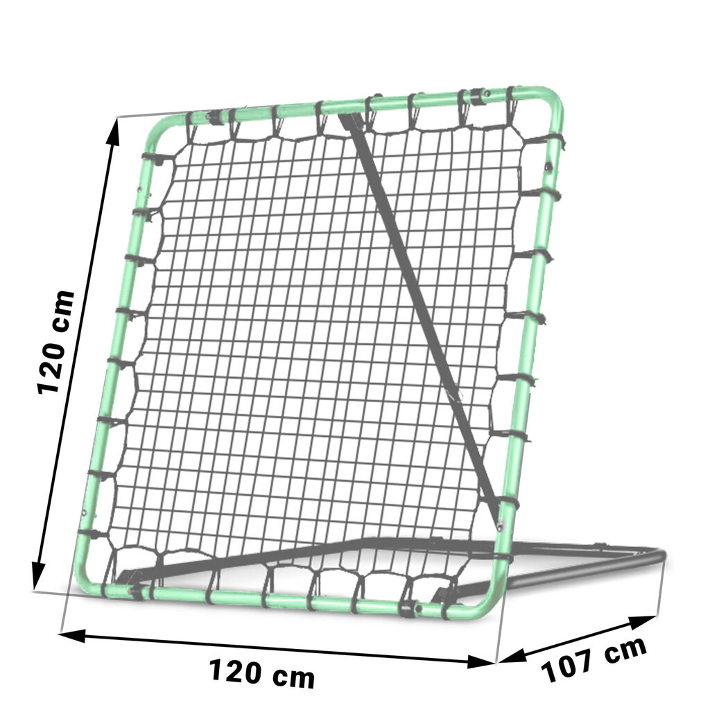 Treniruotės tikslas Neo-Sport, 120 x 120 cm kaina ir informacija | Futbolo vartai ir tinklai | pigu.lt