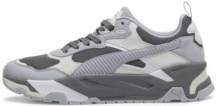 Puma Обувь Trinity White Grey 389289 24 389289 24/6.5 цена и информация | Кроссовки для мужчин | pigu.lt