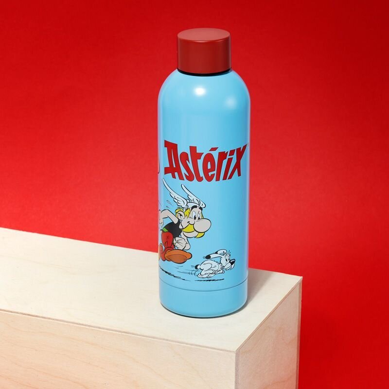 Gertuvė Asterix & Obelix, 530 ml kaina ir informacija | Gertuvės | pigu.lt