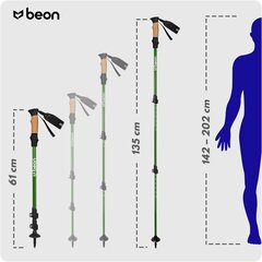 Палки для скандинавской ходьбы Beon Pro Terra 61-135 см цена и информация | Палки для ходьбы | pigu.lt