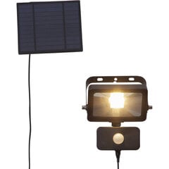 Прожектор SOLAR 800lm 5h 3m кабель цена и информация | Уличные светильники | pigu.lt