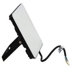 Точечный светильник Essential 50W/865 черный цена и информация | Уличные светильники | pigu.lt