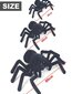 Minkštas žaislas juodas voras Electronics LV цена и информация | Minkšti (pliušiniai) žaislai | pigu.lt