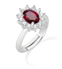 Amen Красивое серебряное кольцо с цирконами Lady ANLDGBBR цена и информация | Кольца | pigu.lt