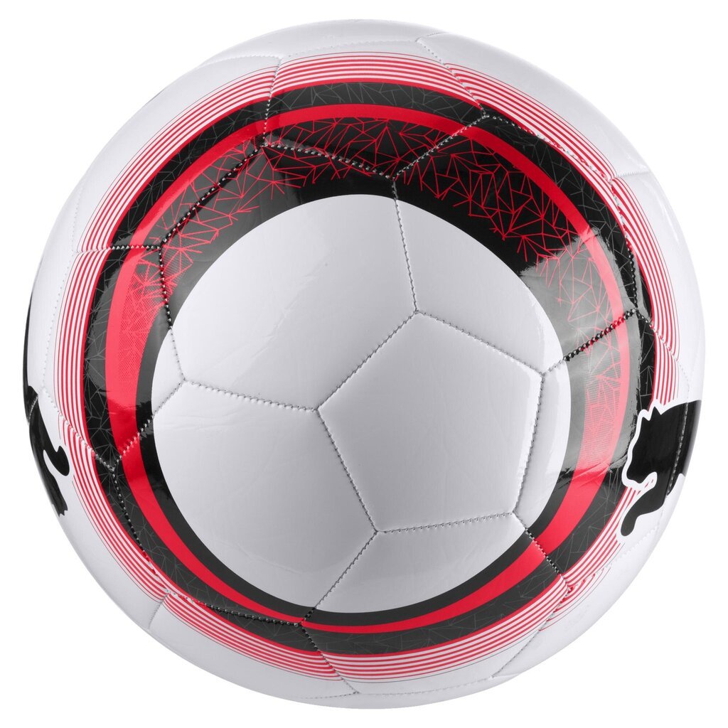 Futbolo kamuolys Puma, 3 dydis kaina ir informacija | Futbolo kamuoliai | pigu.lt