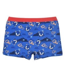 Sun City детские плавки Sonic EX1880*01, синий/красный 3609086977632 цена и информация | Плавательные шорты для мальчиков. | pigu.lt