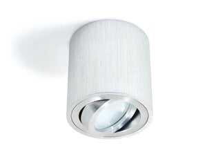 Накладной галогенный светильник Circular LED Cubo, серебро цена и информация | Потолочные светильники | pigu.lt