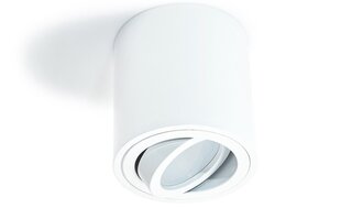Круглый накладной галогенный светильник LED Cubo, белый цена и информация | Потолочные светильники | pigu.lt