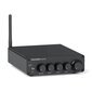 Fosi Audio BT30D Pro цена и информация | Muzikiniai centrai | pigu.lt