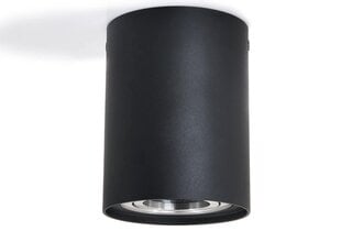 Brolux lubinis šviestuvas Busto L kaina ir informacija | Lubiniai šviestuvai | pigu.lt