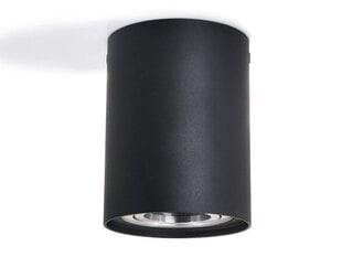 LED Busto L x1 - черный /серебристый накладной галогенный подвижный светильник из алюминия цена и информация | Потолочные светильники | pigu.lt