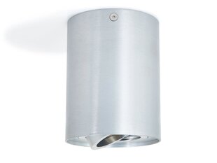 LED Busto L x1, Черный/серебристый накладной галогенный подвижный светильник из алюминия цена и информация | Потолочные светильники | pigu.lt