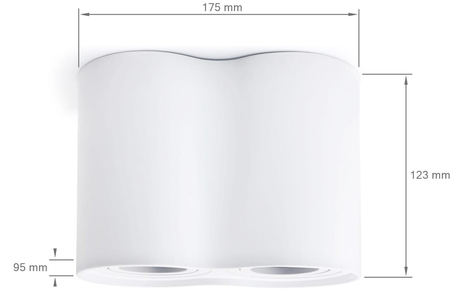 Koloreno lubinis šviestuvas Busto 2 kaina ir informacija | Lubiniai šviestuvai | pigu.lt