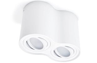 LED Busto x2 алюминиевый накладной подвижный галогенный светильник, белый цена и информация | Потолочные светильники | pigu.lt