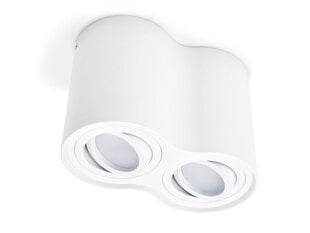 LED Busto x2 алюминиевый накладной подвижный галогенный светильник, белый цена и информация | Потолочные светильники | pigu.lt