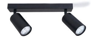 Светодиодный накладной настенно-потолочный галогенный светильник Kivi x2, черный цена и информация | Потолочные светильники | pigu.lt