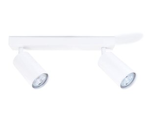 Koloreno paviršinis sieninis ir lubinis halogeninis šviestuvas Kivi x2, baltas kaina ir informacija | Įmontuojami šviestuvai, LED panelės | pigu.lt