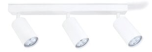 Светодиодный накладной галогенный настенно-потолочный светильник Kivi x3 - Белый цена и информация | Потолочные светильники | pigu.lt