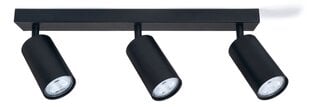 Koloreno paviršinis sieninis ir lubinis halogeninis šviestuvas Kivi x3, juodas kaina ir informacija | Lubiniai šviestuvai | pigu.lt