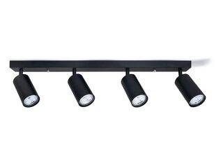 Koloreno paviršinis sieninis ir lubinis halogeninis šviestuvas Kivi x4, juodas kaina ir informacija | Įmontuojami šviestuvai, LED panelės | pigu.lt