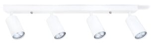 Светодиодный накладной настенно-потолочный галогенный светильник Kivi x4, белый цена и информация | Потолочные светильники | pigu.lt