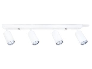 Koloreno paviršinis sieninis ir lubinis halogeninis šviestuvas Kivi x4, baltas kaina ir informacija | Lubiniai šviestuvai | pigu.lt