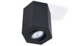 Brolux lubinis šviestuvas Areno kaina ir informacija | Lubiniai šviestuvai | pigu.lt