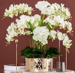 Искусственная орхидея, 5 шт. цена и информация | Искусственные цветы | pigu.lt