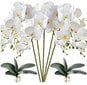 Dirbtinė orchidėja, 5 vnt. kaina ir informacija | Dirbtinės gėlės | pigu.lt