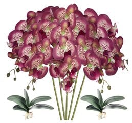 Dirbtinė orchidėja, 5 vnt. kaina ir informacija | Dirbtinės gėlės | pigu.lt