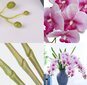 Dirbtinė orchidėja, 5 vnt. цена и информация | Dirbtinės gėlės | pigu.lt
