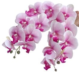Искусственная орхидея, 5 шт. цена и информация | Искусственные цветы | pigu.lt