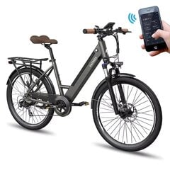 Электровелосипед FAFREES F26 Pro, 26", серый, 14,5 Ач цена и информация | Электровелосипеды | pigu.lt