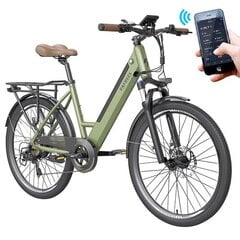 Электровелосипед FAFREES F26 Pro, 26", зеленый, 14,5 Ач цена и информация | Электровелосипеды | pigu.lt