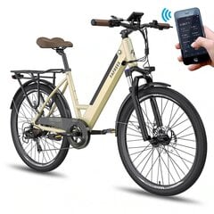 Электровелосипед FAFREES F26 Pro, 26", золотого цвета, 14,5 Ач цена и информация | Электровелосипеды | pigu.lt